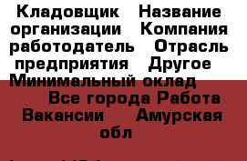 Кладовщик › Название организации ­ Компания-работодатель › Отрасль предприятия ­ Другое › Минимальный оклад ­ 16 000 - Все города Работа » Вакансии   . Амурская обл.